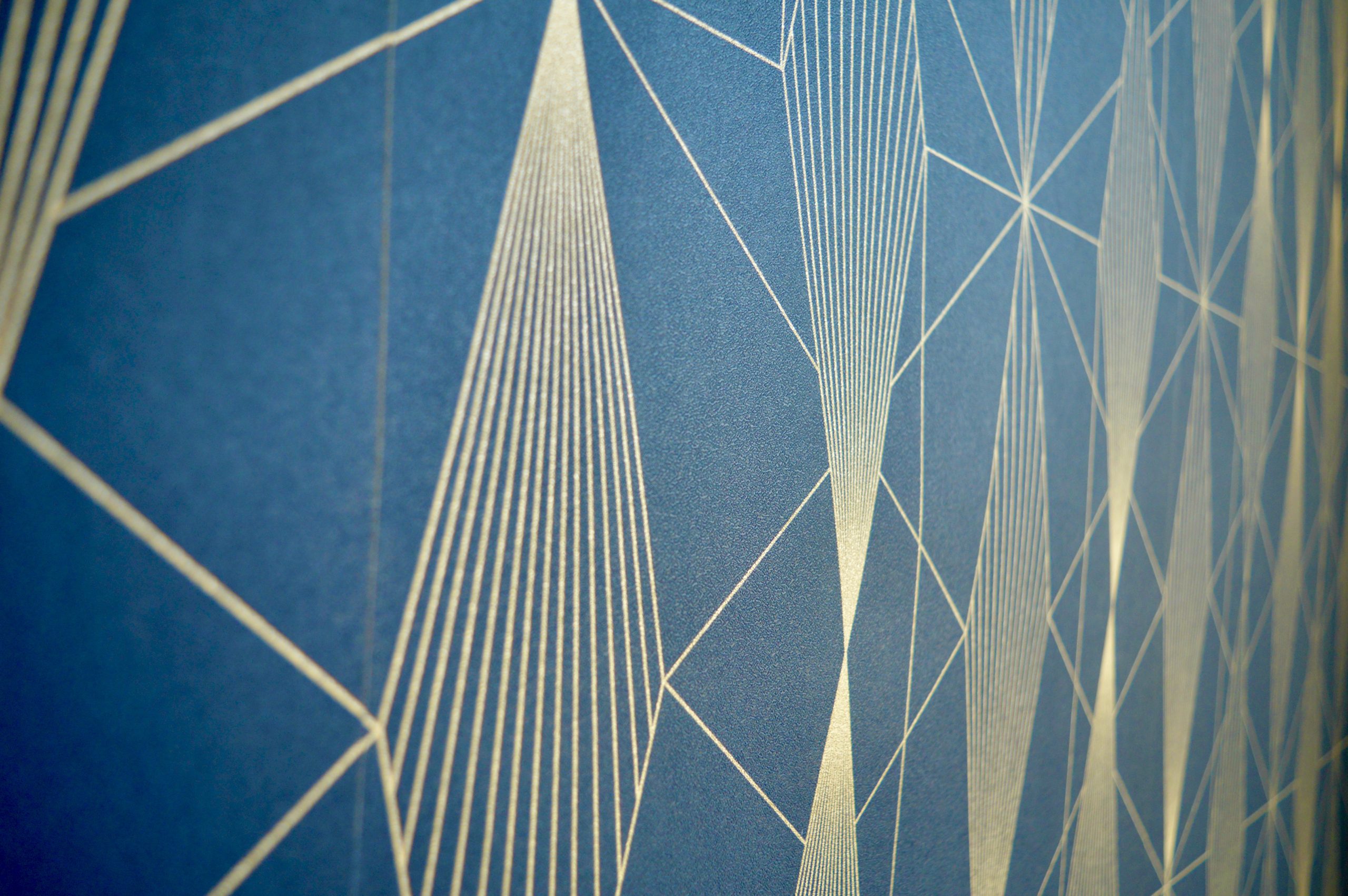 Papierpeint plumes Emma Beale