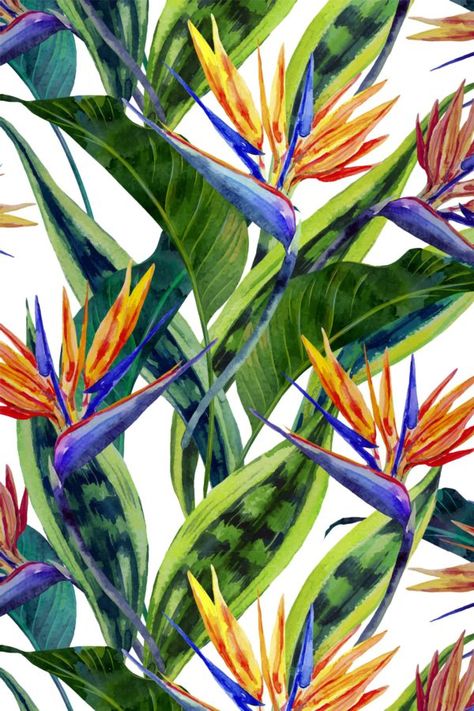 Papierpeint plumes Emma Beale