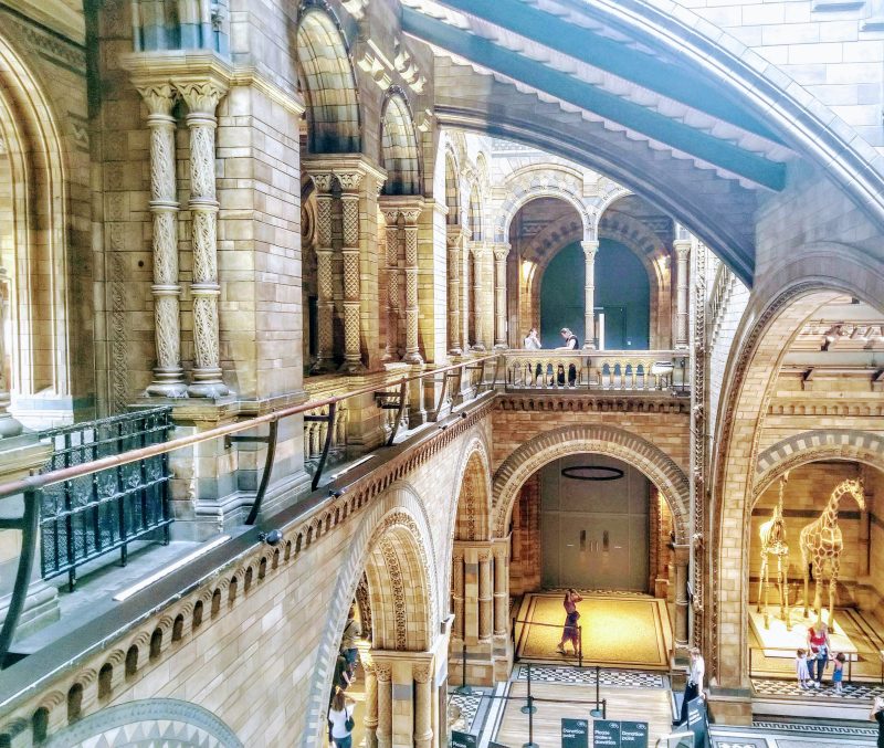 History museum London Emma Beale